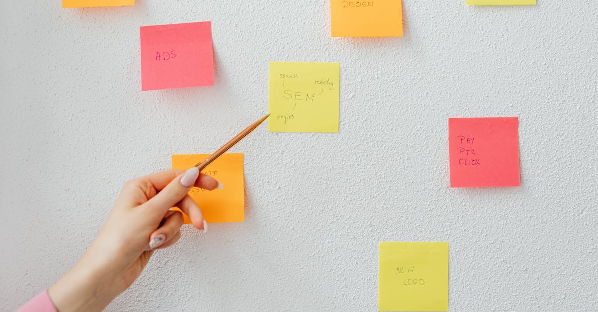 造梦无双：上海鸡蛋购买平台官网