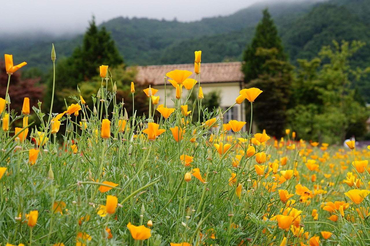 新宝5娱乐，注册|GO详情下载教程电影app
