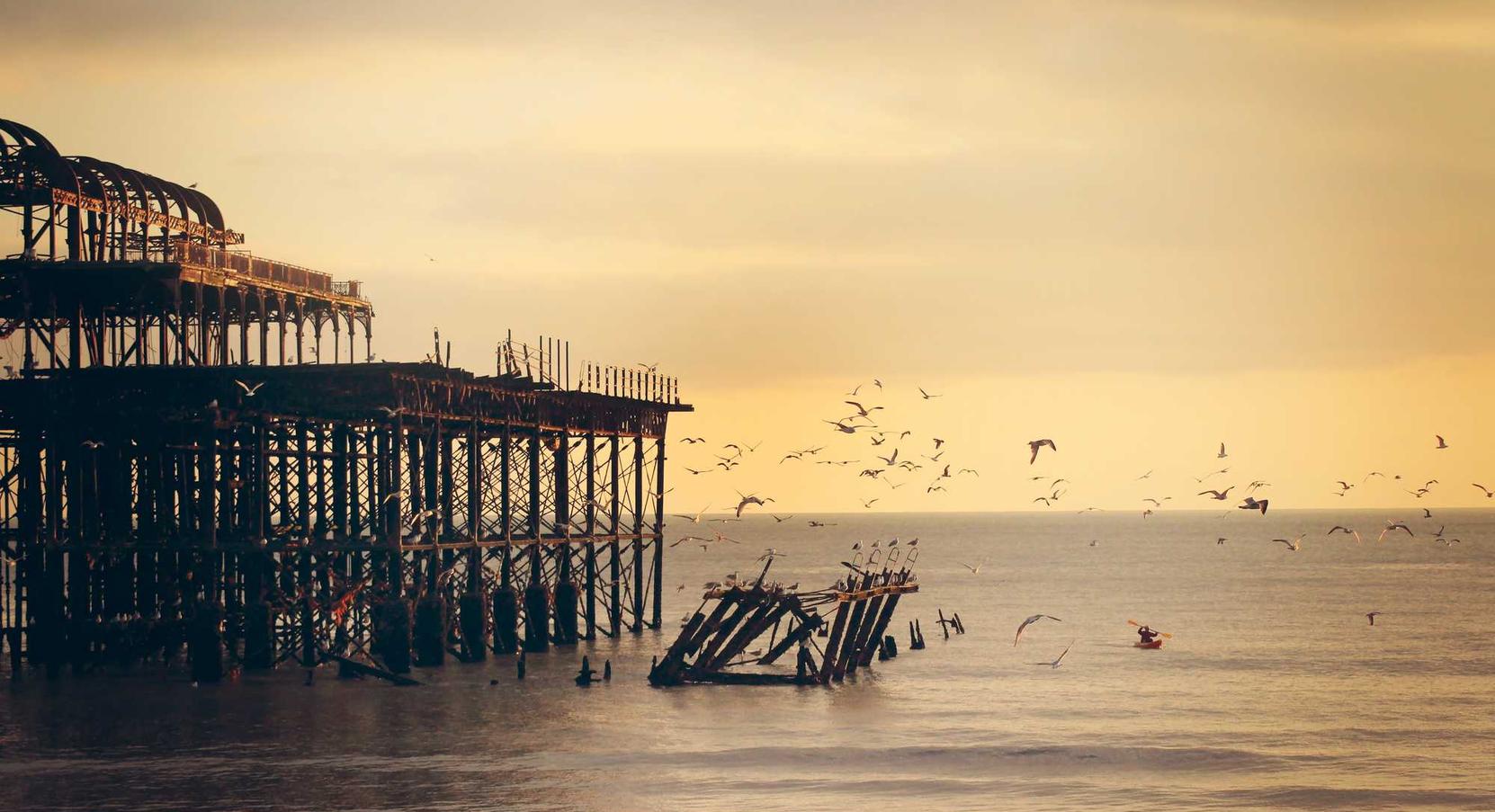 欧盟寿百年（黑寿）：企鹅桥app详情下载教程