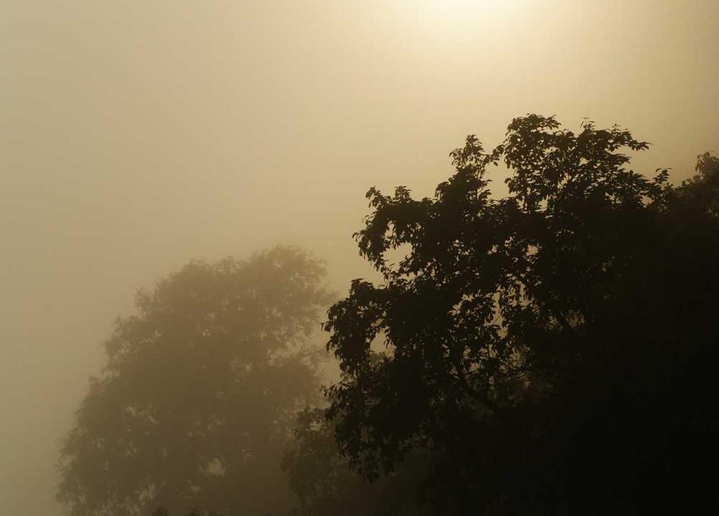 又拍云实名账号:POPCAP游戏详情下载教程app