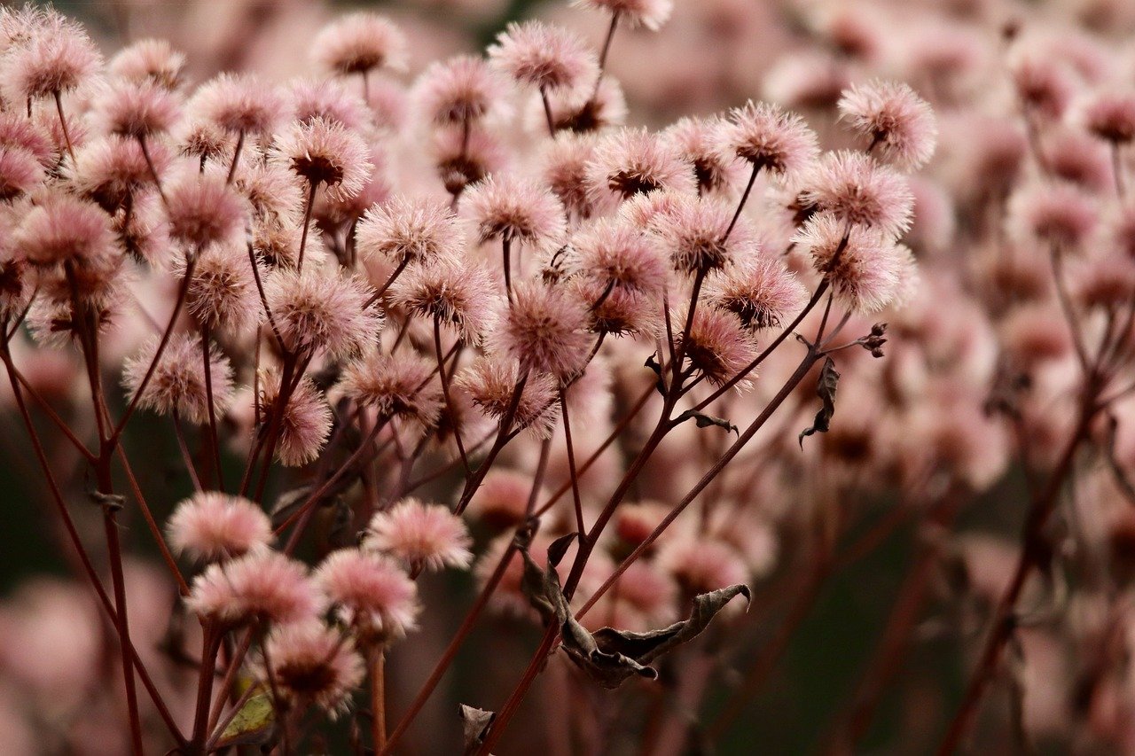 万宝路黑冰爆珠：188金博网App详情下载教程