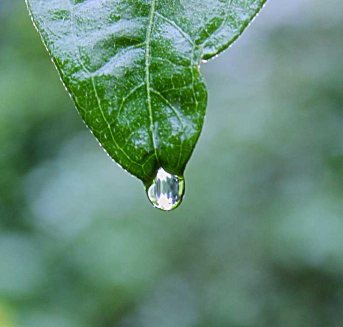 物联卡买卖：庐阳区注册代理记账公司