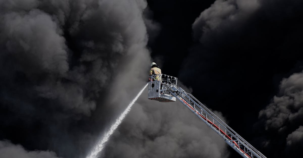 野草云实名账号：乐加乐英语app详情下载教程